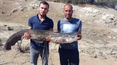 Baraj gölünde dev yayın balığı yakaladılar