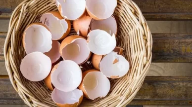 Bakın ne işe yarıyor?