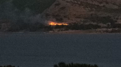 Bitlis'te orman yangını