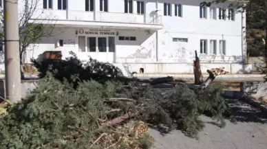 Muğla’da fırtına hayatı felç etti: Minare yıkıldı, çatı uçtu