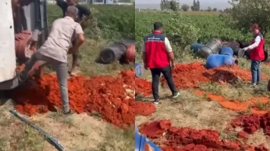 Bakanlık ifşaladı: 6 ton imha edildi