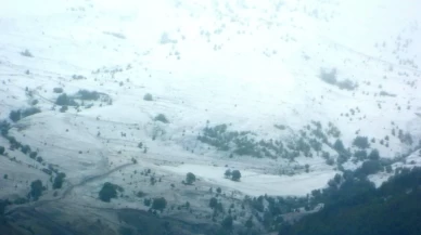 Posof'ta kar yağışı!