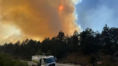 Karabük'ün Aladağ mevkisinde orman yangını!