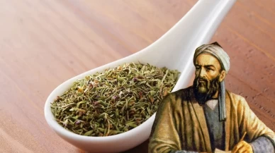 Bin Yıllık Sır Açığa Çıktı! İbn-i Sina’dan Doğal Kilo Verme Formülü
