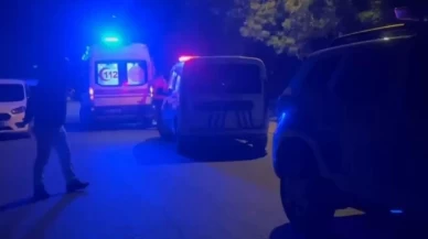 Erzincan’da tehlikeli anları çekirdek çitleyerek izlediler!