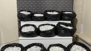 Kırıkkale’de 57 bin 340 makaron ele geçirildi