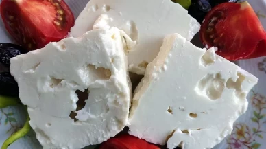 Canınız sürekli peynir yemek istiyorsa dikkat! Vücudunuz size mesaj veriyor