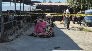 Aydın’da dehşet: 3 yaşındaki çocuk süt toplama kamyonunun altında kalarak hayatını kaybetti