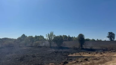 Bilecik'te anız yangını