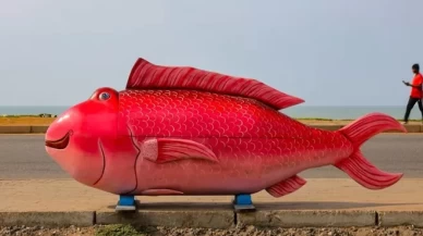 Kişilikleri yansıtan fantastik tabutlar