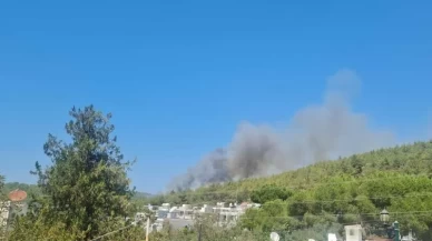 Muğla Bodrum'da orman yangını