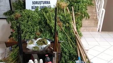 İzmir Menderes’te ormanlık alanda Hint keneviri operasyonu