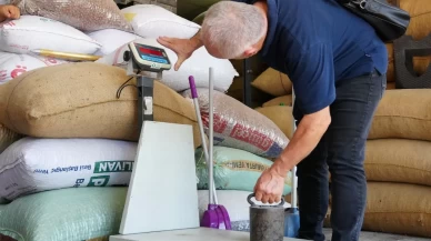 Fındık alım-satımı yapan iş yerleri denetlendi