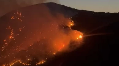 Söke’de korku dolu anlar! Yangın kısa sürede büyüdü
