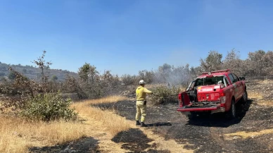 Mardin Savur’da orman yangını kontrol altına alındı