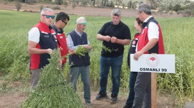 Çanakkale'de susam üretiminin arttırılması için kollar sıvandı, makineli üretim devreye girdi