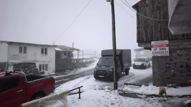 Artvin'in vadilerini sel, yaylalarını kar vurdu