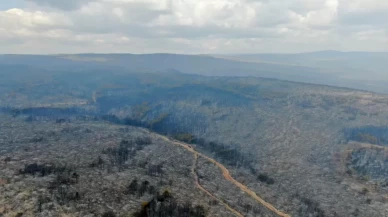 Kastamonu’daki orman yangını kontrol altında!