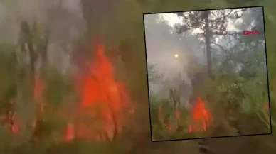 SON DAKİKA! İstanbul Ataşehir'de orman yangını