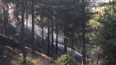 Denizli'deki orman yangını kontrol altına alındı