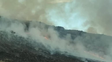 Kars'ta askeri tatbikat alanında çıkan anız yangını söndürüldü