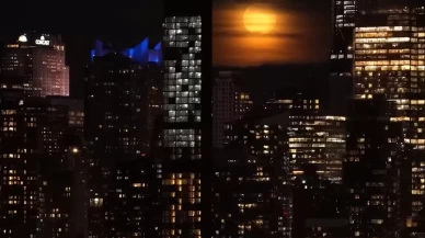 New York semalarında “Corn Moon” büyüledi