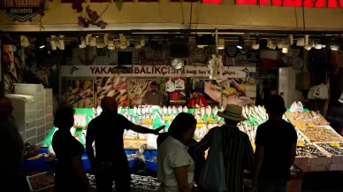 İstanbul’da balık sezonu hamsi ve istavrit bolluğuyla başladı