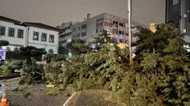 Kumluca, Finike, Demre ve Kaş'ta hasar büyüyor