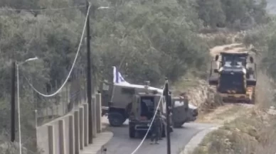 İsrail Batı Şeria’da zeytin ağaçlarını söktü