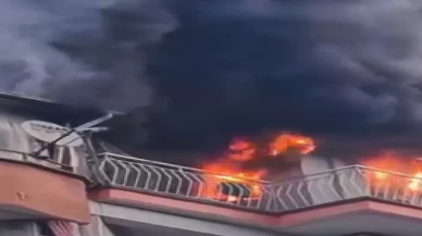 Manisa’da korkunç yangın! 6 kedi telef oldu