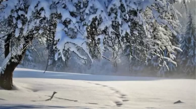 Zemheri ne zaman bitecek?