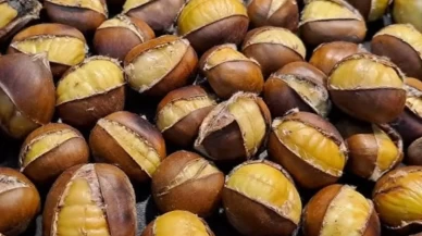 Kestaneleri suda bekletmeye gerek kalmıyor; Taksim’deki tablacıların tekniği meğer buymuş