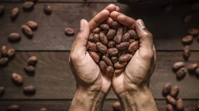 Kimse bu etkiyi bilmiyordu