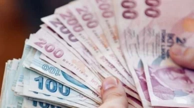 Engelli ve eski hükümlülere hibe desteği artırıldı