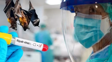 Nipah virüsünde ölüm oranı yüzde 75'e çıktı! DSÖ yeni pandemiyi engellemek için takibe geçti