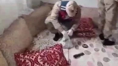 Şanlıurfa’da 2 bin 644 adet tarihi eser ele geçirildi