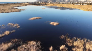 Tamamen kuruyan Milleyha yeniden hayat buldu!