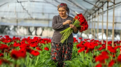 Antalya çiçek açtı: 850 milyon dal üretildi