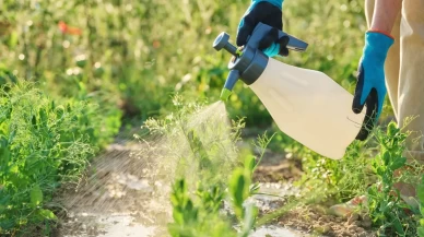 Tarım ve Orman Bakanlığı’ndan bitki koruma ürünleri için ruhsat değişikliği