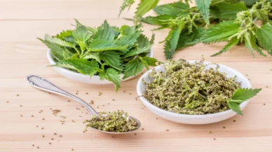 Isırgan otu suyu donuk ciltlerde neyi değiştiriyor?