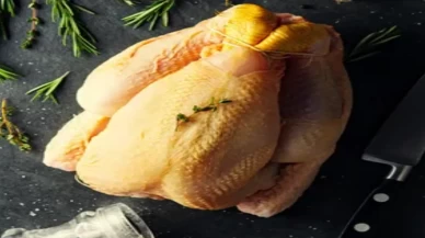 40 günlük horoz eti detayı