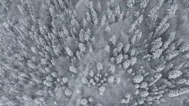 Dronla havadan izleyin: Sinop’un karla kaplı ormanları nefes kesti!