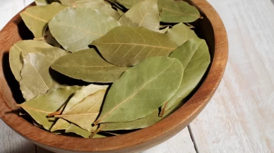 Sosyal medyanın yeni "şans" akımı!