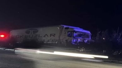 Sahil yolunda facia: Tır sürücüsü hayatını kaybetti