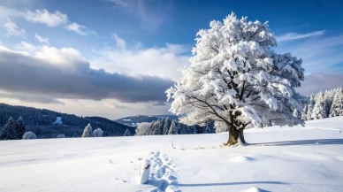 Meteoroloji uyardı: Türkiye’de hava ikiye bölündü! Sağanak, fırtına, don ve çığ alarmı