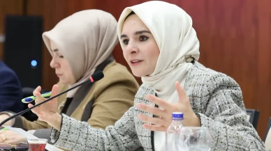 'Yasaklayan değil, koruyan bir düzenleme'