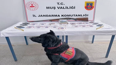 Muş’ta jandarma baskını! 5 kişi tutuklandı
