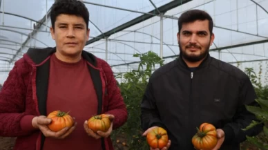 Asgari ücretle çalışmayı bıraktı, devlet desteğiyle yüz binlerce TL kazanıyor!