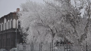 Kars'ta soğuktan ağaçlar kırağı tuttu