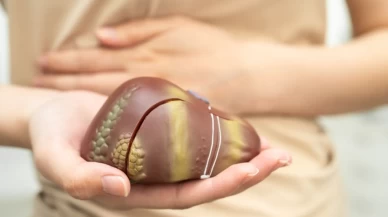 Kızılcık tüketimi, karaciğer yağlanması hastalığının etkilerini azaltıyor